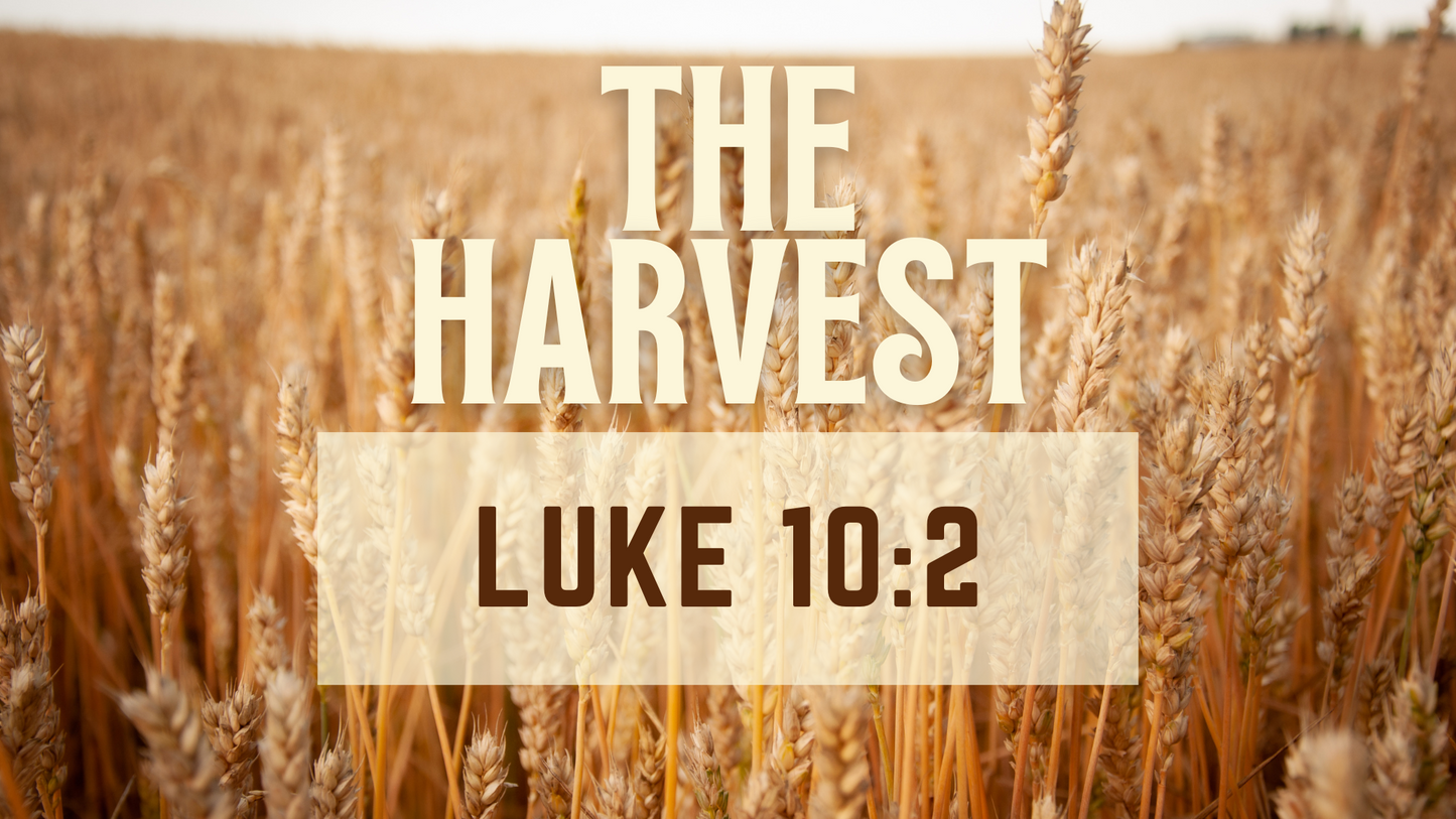 The Harvest